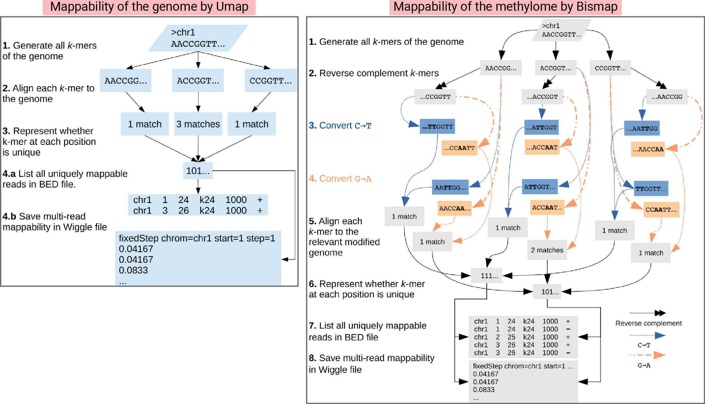 2024-08-19-umap-mappability_0.jpg