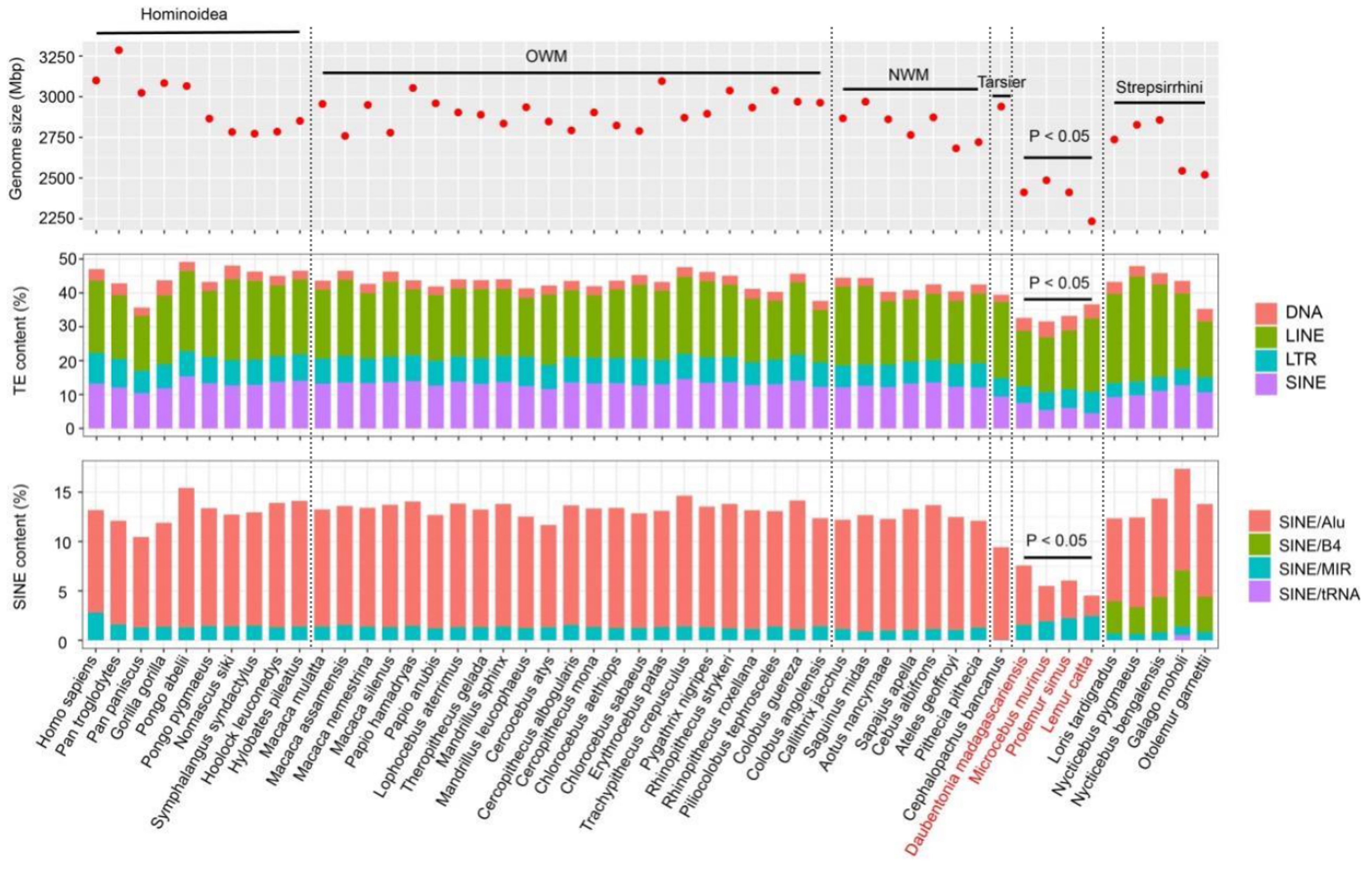 2306_S_genome_size_.jpg