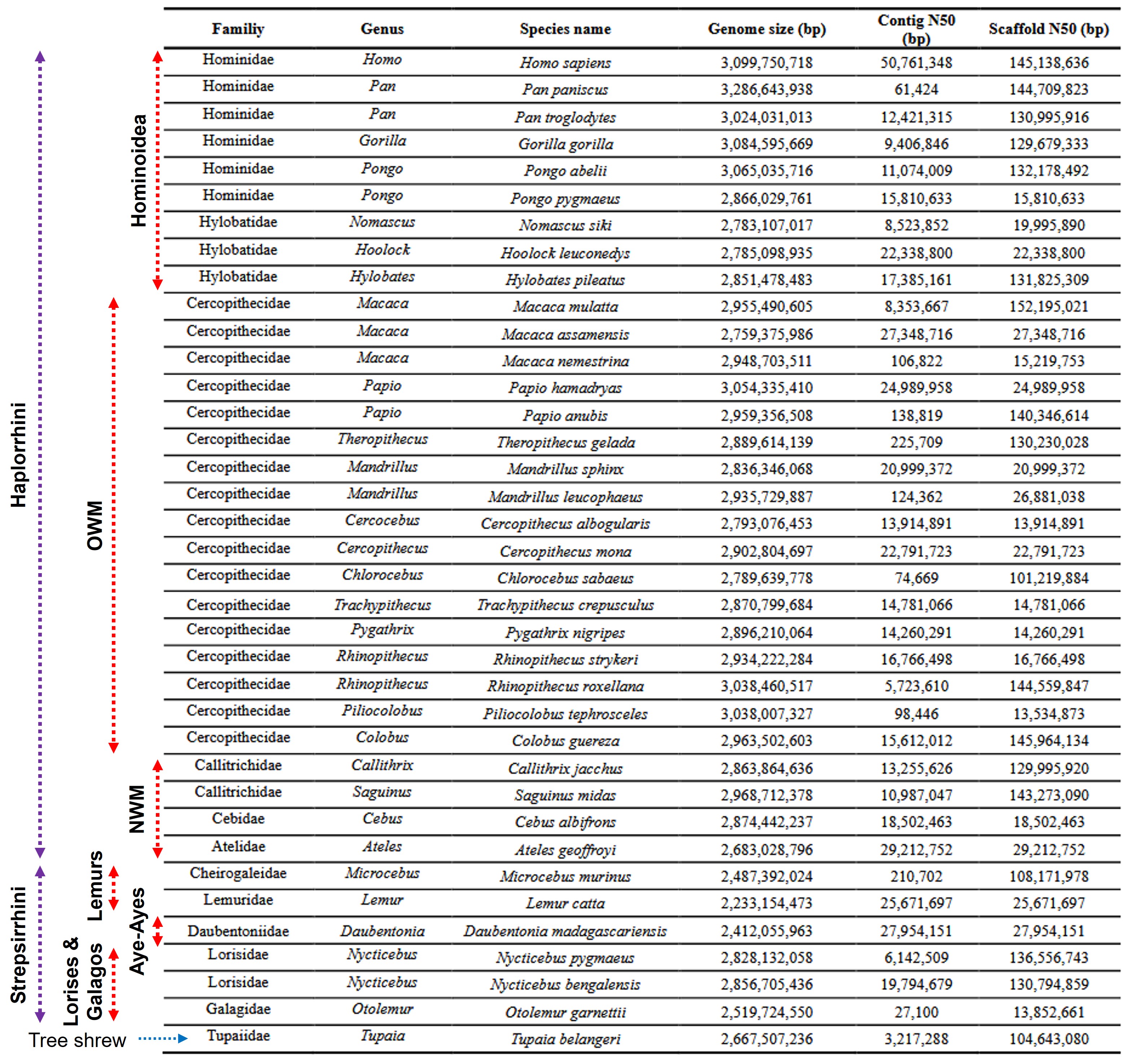2306_S_genome_size_table.jpg