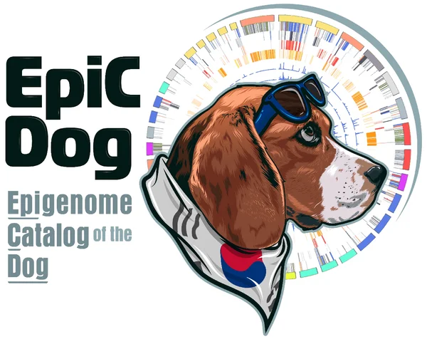 Integrative mapping of the dog epigenome: reference annotation for comparative intertissue and cross-species studies
