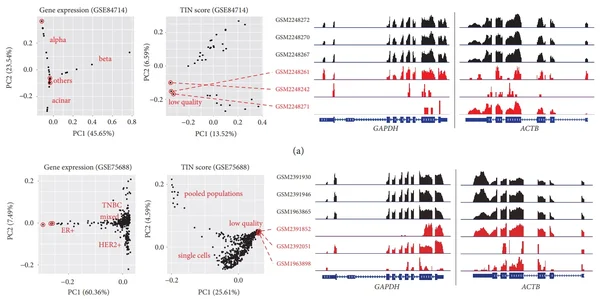 A Simple Guideline to Assess the Characteristics of RNA-Seq Data