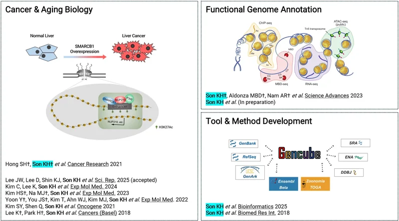Publications overview